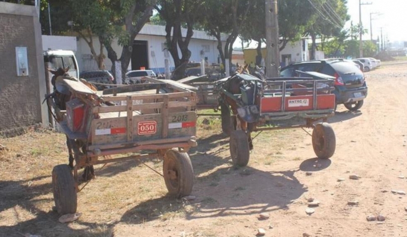 Termina nesta quarta-feira o prazo para cadastro de carroças, em&nbsp;Imperatriz