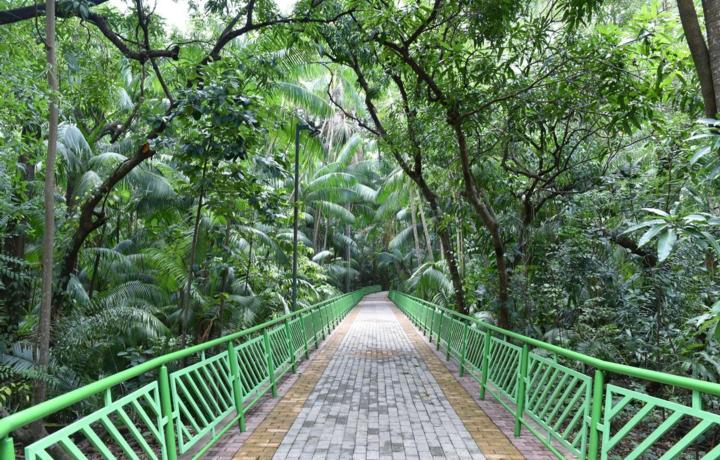 Parque Botânico da Vale  aberto para a temporada de&nbsp;férias