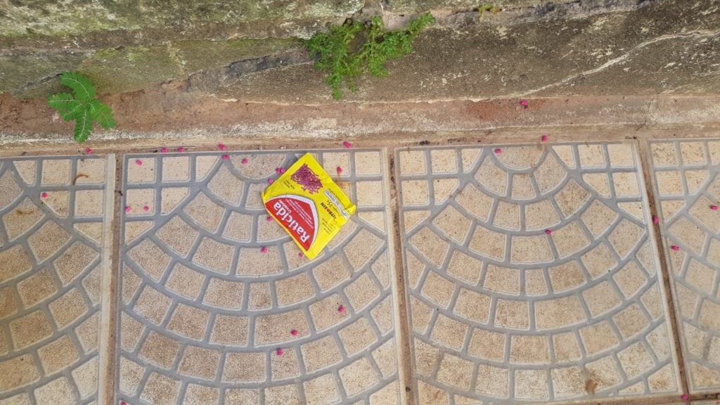 Envenenamento em massa de animais domésticos deixa moradores de São Luís em&nbsp;alerta