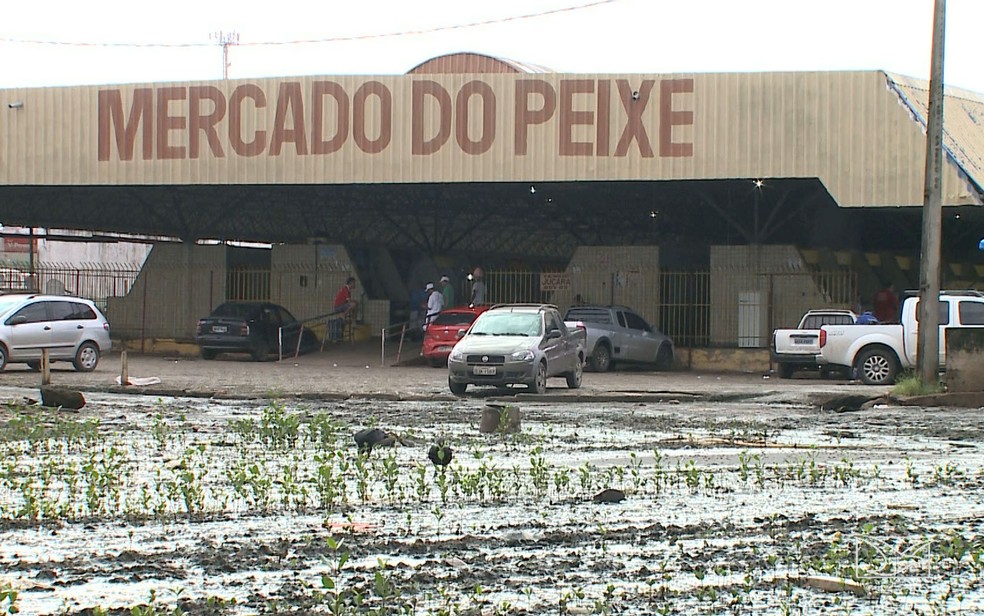 MPMA pede reforma do Mercado do&nbsp;Peixe