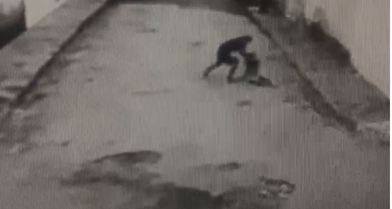 Foragido acusado de matar mulher a facadas é preso em São&nbsp;Luís