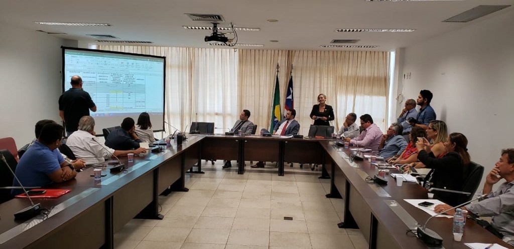 Comissão de Assuntos Municipais debate Plano de Regularização da Carne Bovídea no&nbsp;Maranhão