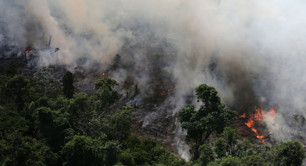 Ministro do Meio Ambiente diz que seca e calor ampliam&nbsp;queimadas