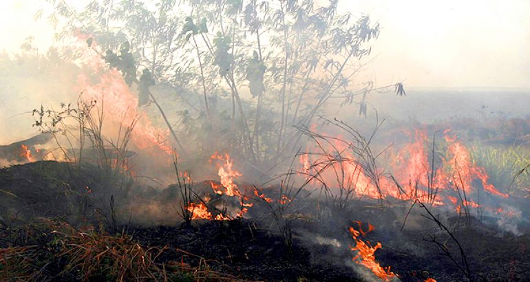 MA lidera o ranking do registro de focos de incêndio entre estados do&nbsp;Nordeste