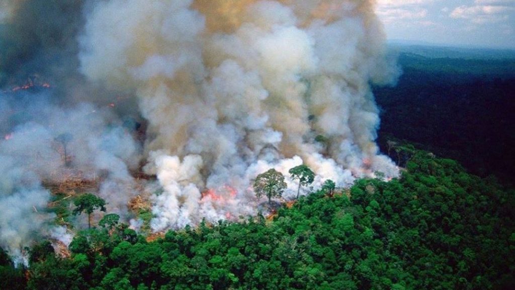 Polícia do Pará identifica suspeitos de provocar queimadas na&nbsp;Amazônia