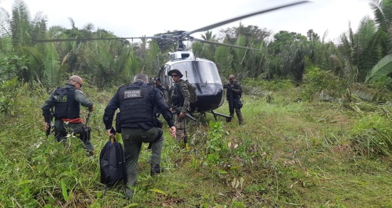 Polícia localiza mais de trinta mil pés de maconha em&nbsp;Rosário