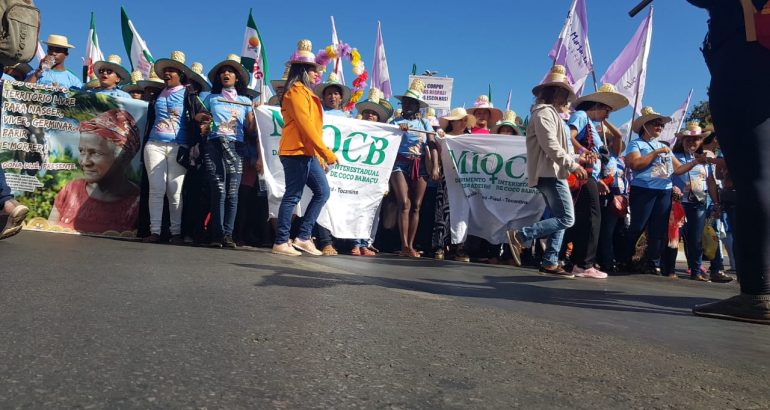 Maranhenses participam da marcha em defesa da demarcação de terras&nbsp;indígenas