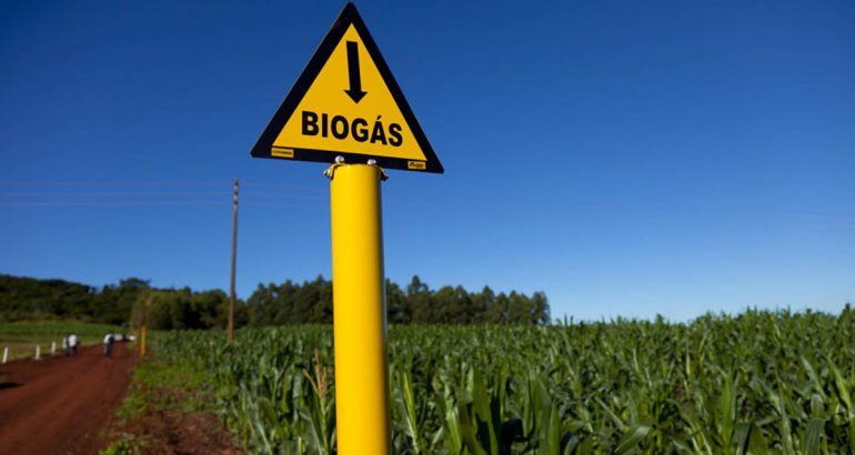 Primeira usina de geração de energia de biogás é instalada no&nbsp;MA