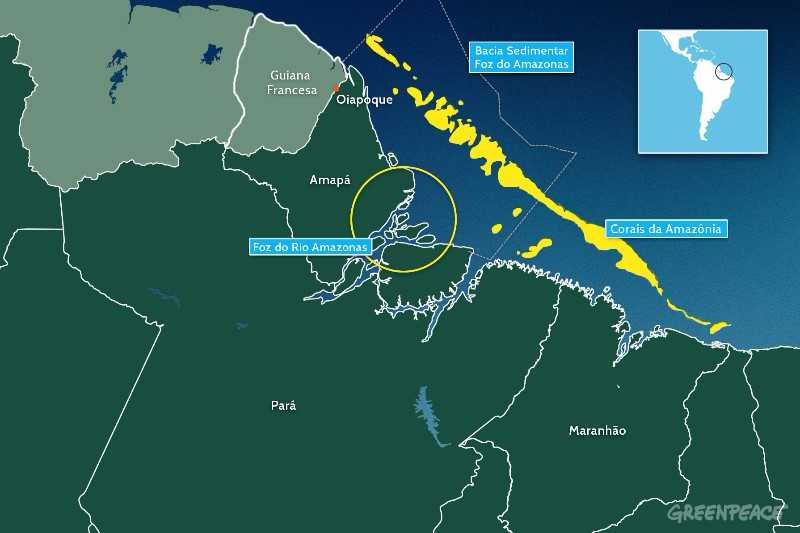 Corais da Amazônia estão vivos, crescem e revelam grande reserva de&nbsp;petróleo