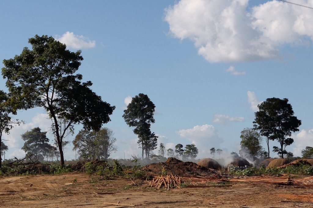 Maranhão possui apenas 25% de sua vegetação amazônica&nbsp;original