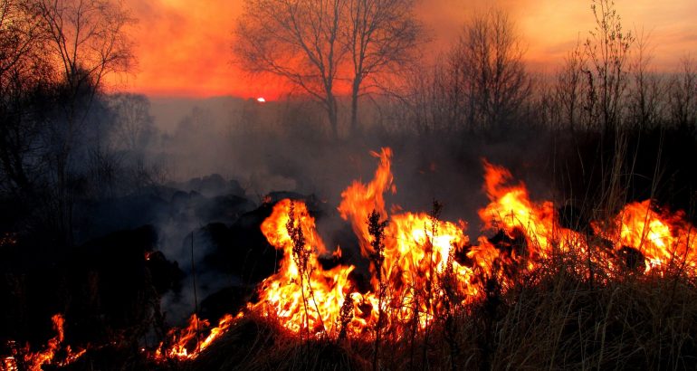MA registra 375 focos de incêndio em menos de 24&nbsp;horas