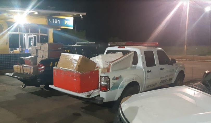 Ônibus é flagrado transportando carne e queijo de forma&nbsp;inadequada