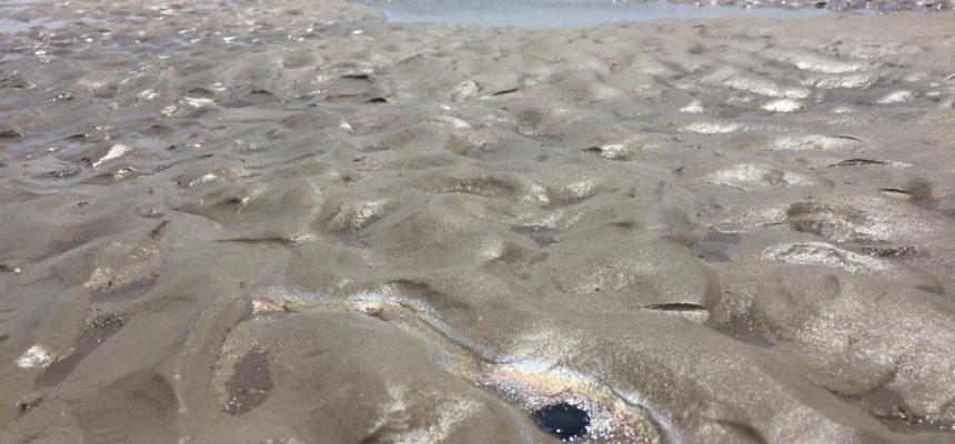 Vazamento de petróleo já atinge toda a costa maranhense, aponta&nbsp;instituto