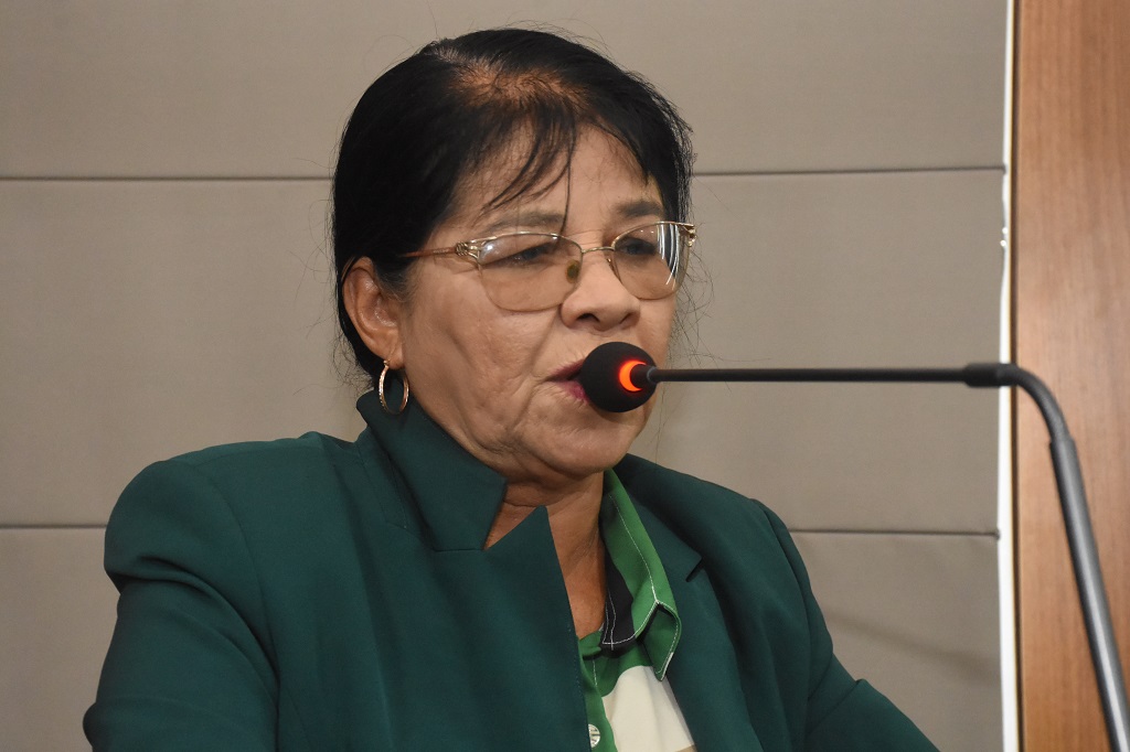 Fátima Araújo solicita à Prefeitura instalação de uma proteção em rua do&nbsp;Sacavém