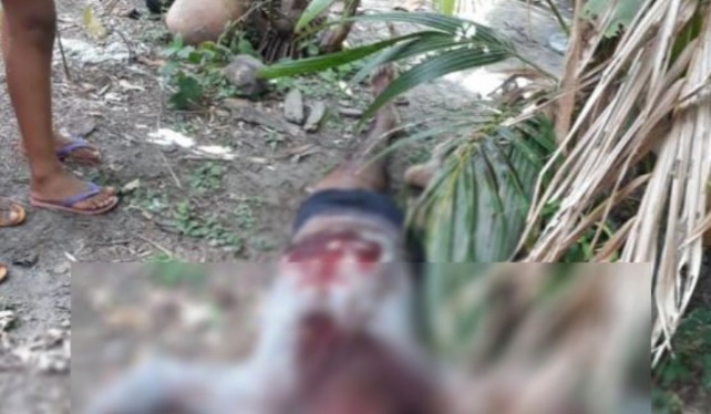 Corpo de homem é encontrado em quintal de casa em&nbsp;Bacabeira