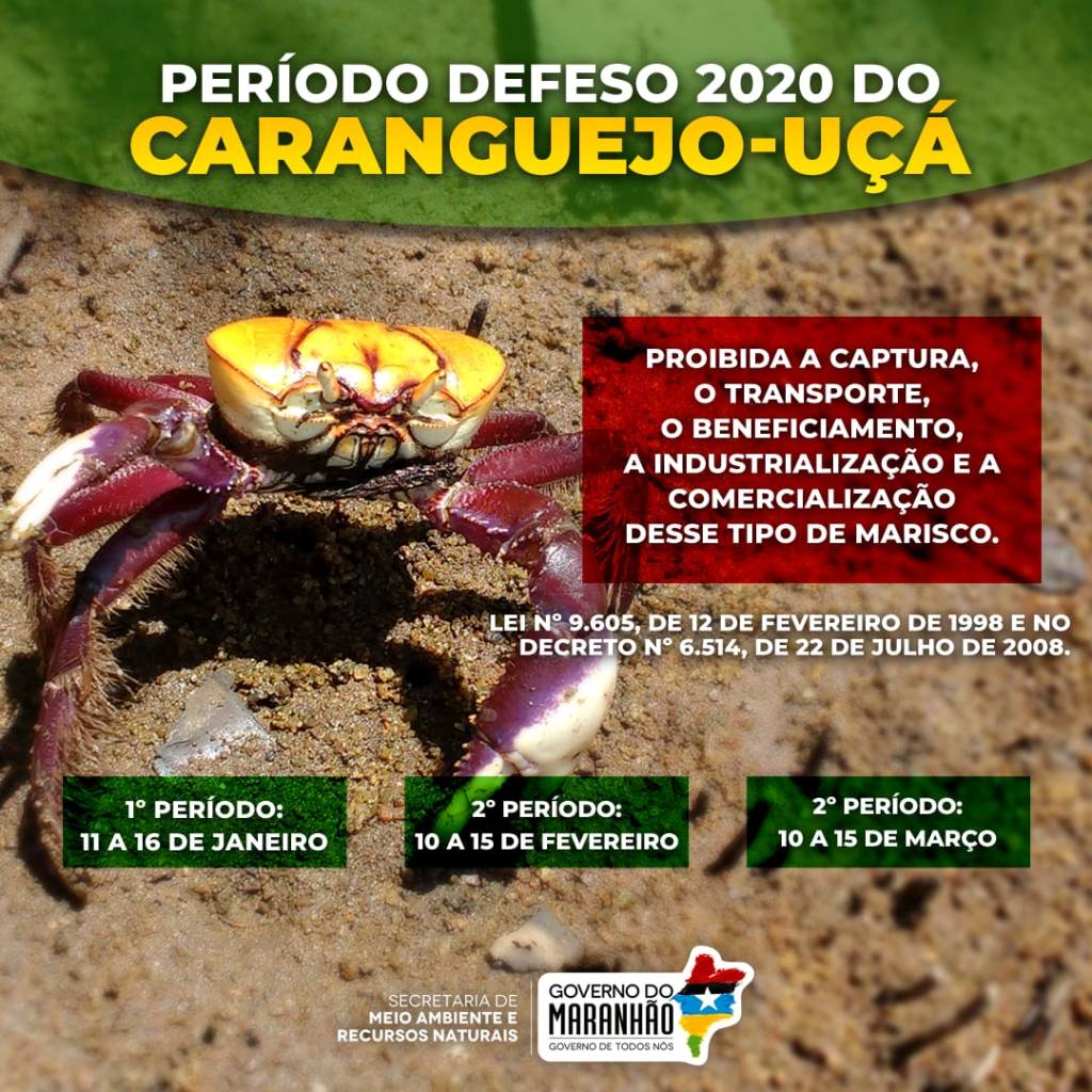 Maranhão e mais 10 estados iniciam o período de defeso do caranguejo&nbsp;uçá