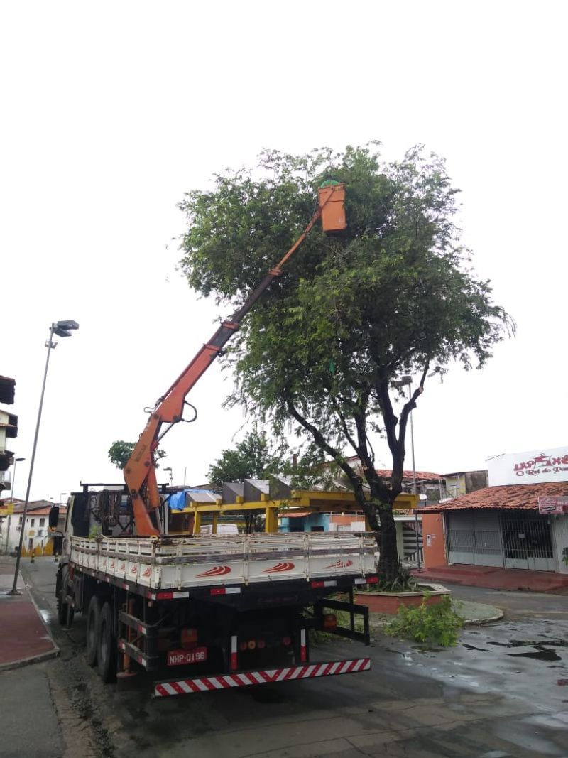 Prefeitura de São Luís realiza ação de poda nos principais circuitos de Carnaval de São&nbsp;Luís