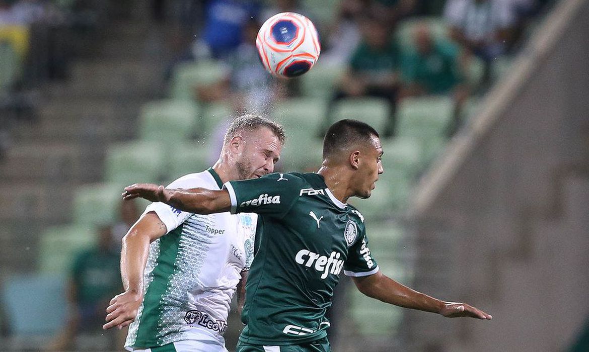 Palmeiras assume ponta em São Paulo e Cruzeiro perde em Minas