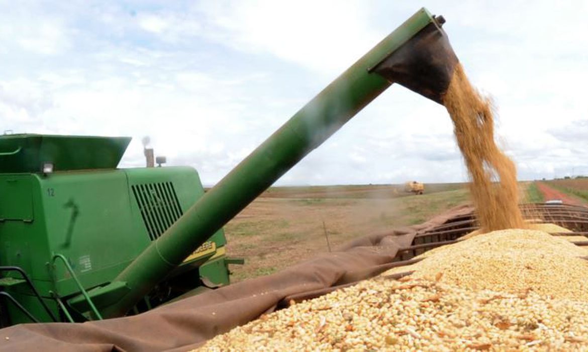 Ipea prevê crescimento maior do PIB do setor agropecuário