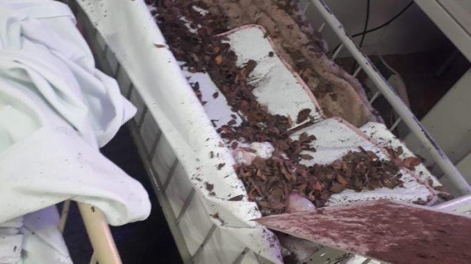 Teto do Hospital da Criança em SL cede e assusta pacientes e&nbsp;acompanhantes.