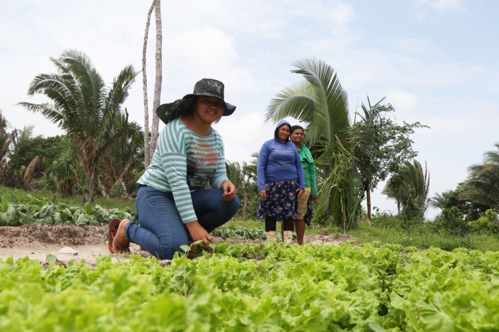 “É UMA AJUDANDO A OUTRA”, DIZ AGRICULTORA SOBRE TRABALHO EM HORTA COMUNITÁRIA DE&nbsp;MULHERES