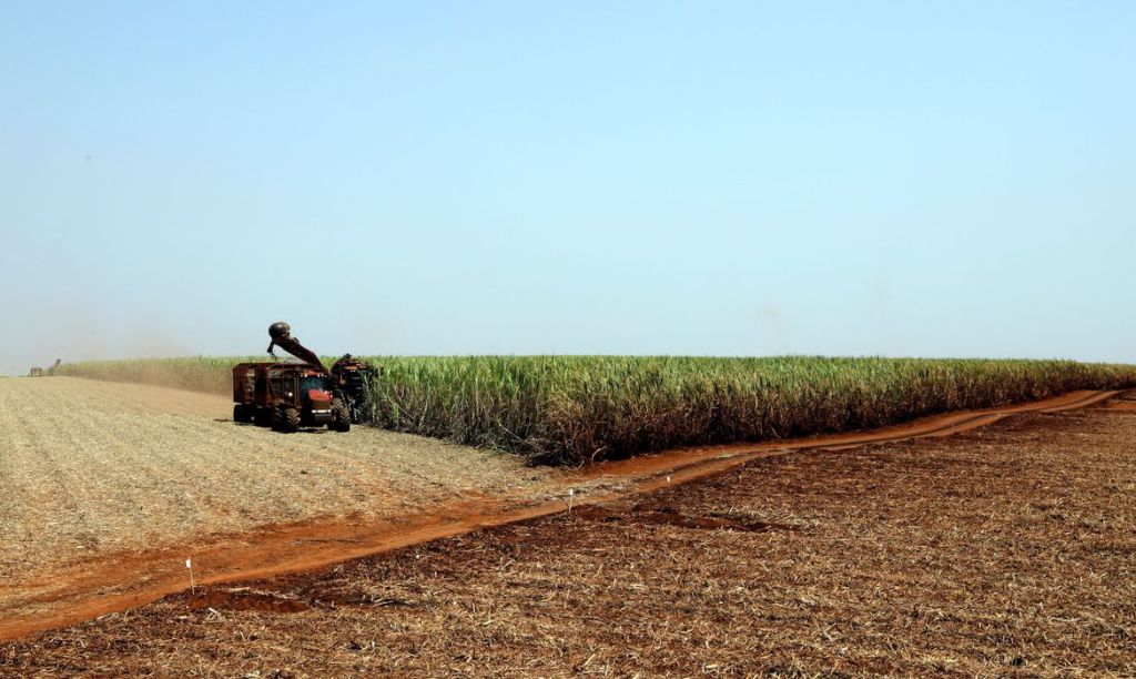 Pandemia: produtores rurais se preparam para diminuir&nbsp;riscos