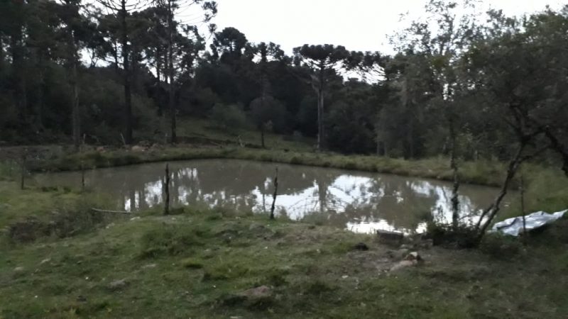 Dois jovens morrem após serem atingidos por um raio num açude em Viana,&nbsp;MA.