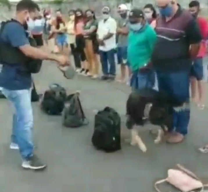 Vídeo: cão encontra armas durante revista em passageiros na saída de terminal de&nbsp;ferry-boat