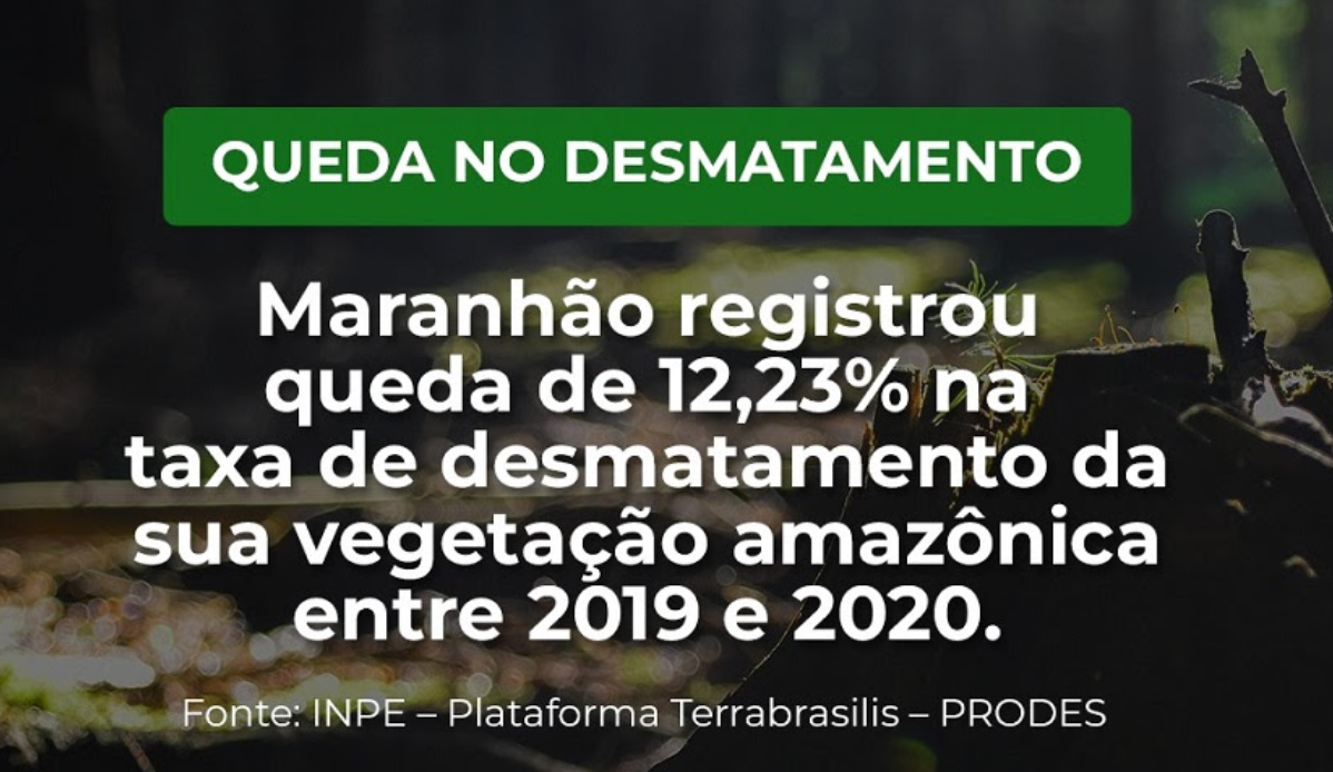 Maranhão registra queda na taxa de desmatamento entre 2019 e 2020