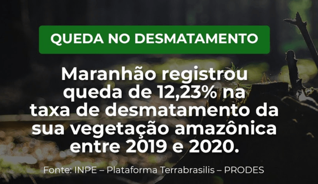 Maranhão registra queda na taxa de desmatamento entre 2019 e&nbsp;2020