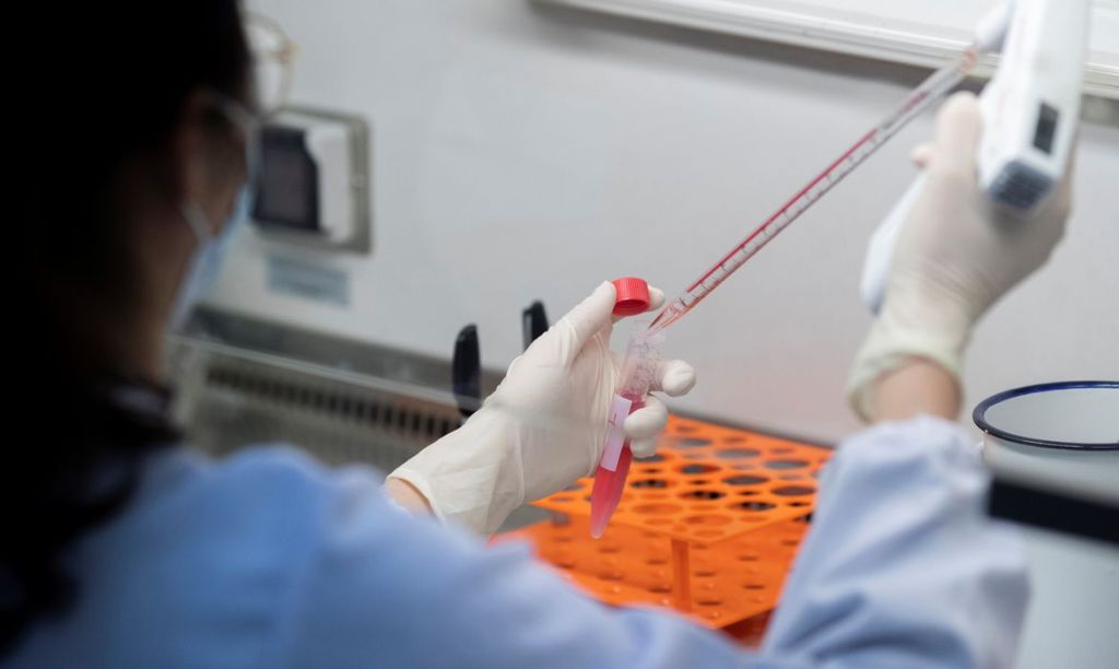 Taxa de ocupação dos leitos de UTI em São Luís é de&nbsp;97,83%