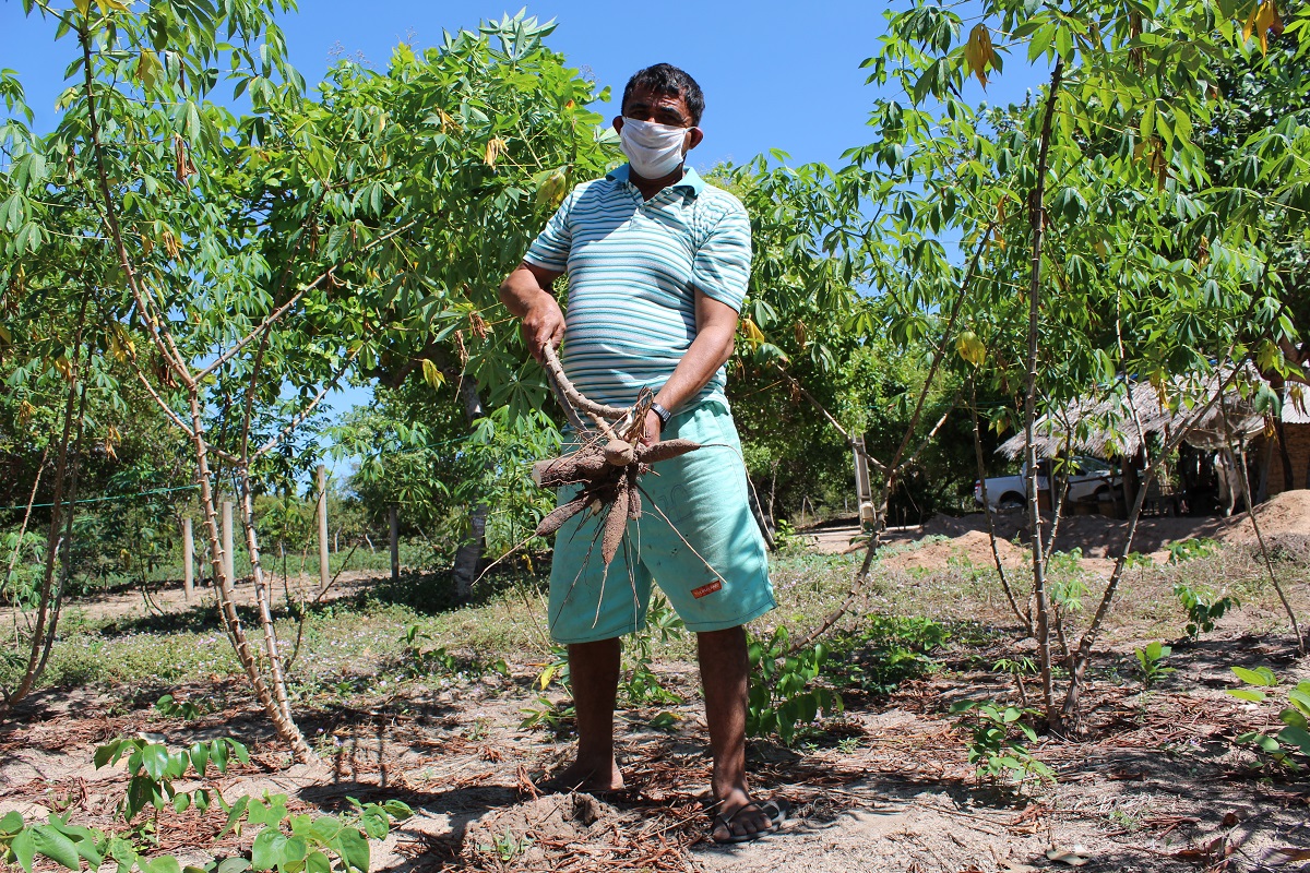 Municípios maranhenses iniciam a comercialização de produtos da agricultura familiar