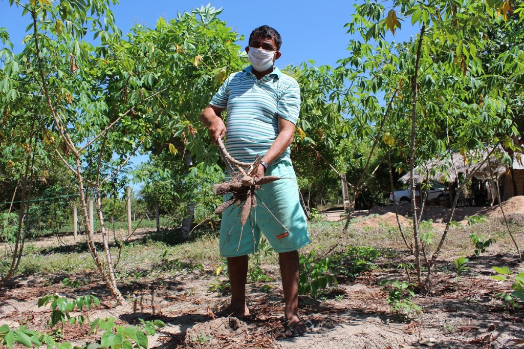 Municípios maranhenses iniciam a comercialização de produtos da agricultura&nbsp;familiar
