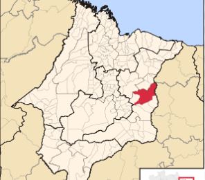 Secretária de saúde e filho são os primeiros casos confirmados de COVID-19 em&nbsp;Caxias