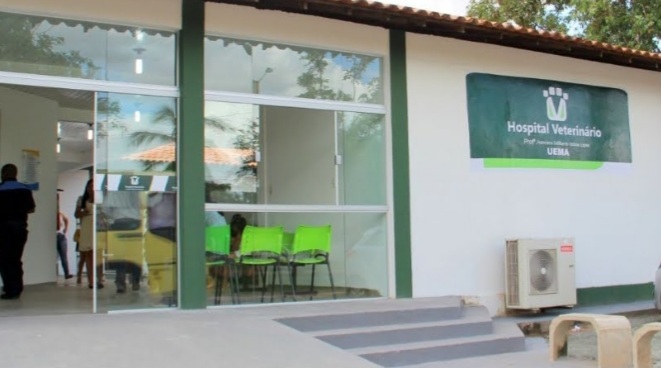 Hospital Veterinário da Uema passa a oferecer serviços aos sábados em São&nbsp;Luís