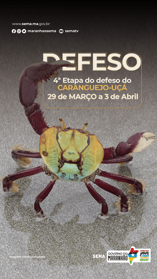 Quarto período de defeso do caranguejo-uçá tem início na próxima segunda&nbsp;(29)