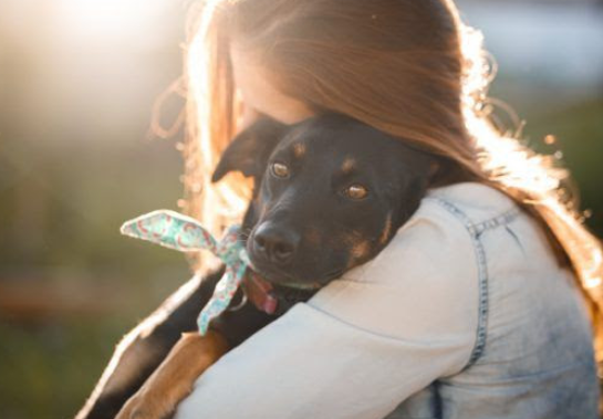 Conheça os cuidados essenciais para manter a saúde e o bem-estar dos pets
