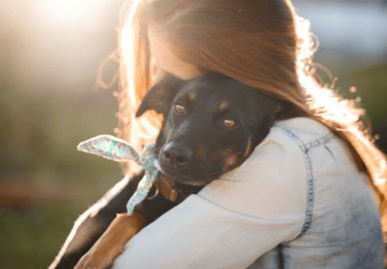 Conheça os cuidados essenciais para manter a saúde e o bem-estar dos&nbsp;pets