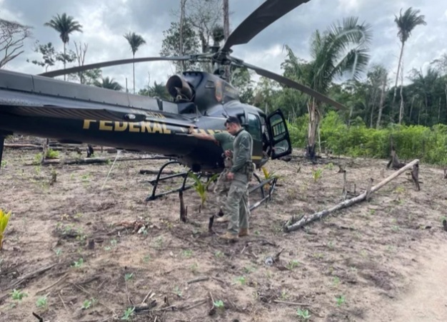 85 mil pés de maconha são encontrados pela Polícia Federal em terras indígenas no&nbsp;Maranhão