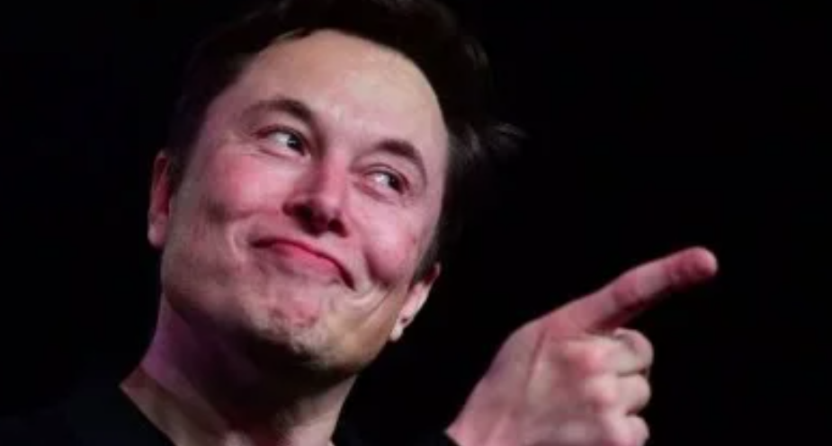 Neuralink, de Elon Musk, fez macaco jogar videogame com chip no cérebro