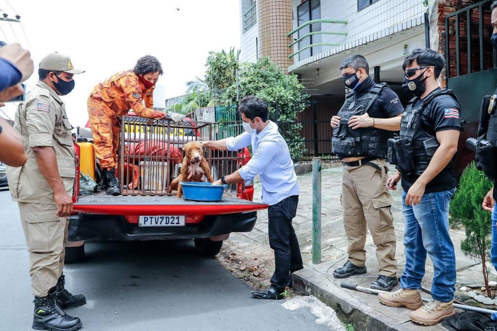 Após denúncias, Duarte, Corpo de Bombeiros e Polícia Civil resgatam cão&nbsp;abandonado