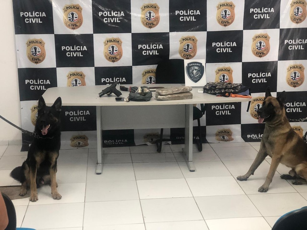 Suspeitos de traficar drogas são presos em região de matagal em São&nbsp;Luís