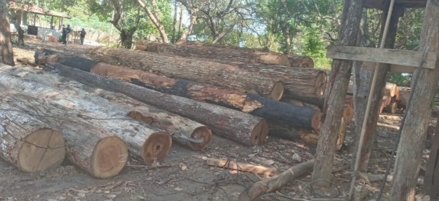 Polícia Federal deflagra operação contra desmatamento e caça ilegal no&nbsp;Maranhão
