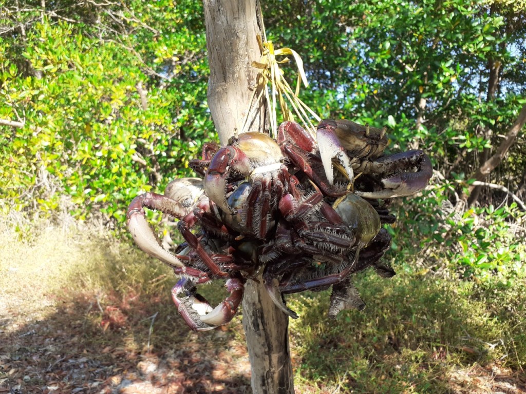AGED vistoria terreno para construção de agroindústria para beneficiamento de carne de&nbsp;caranguejo