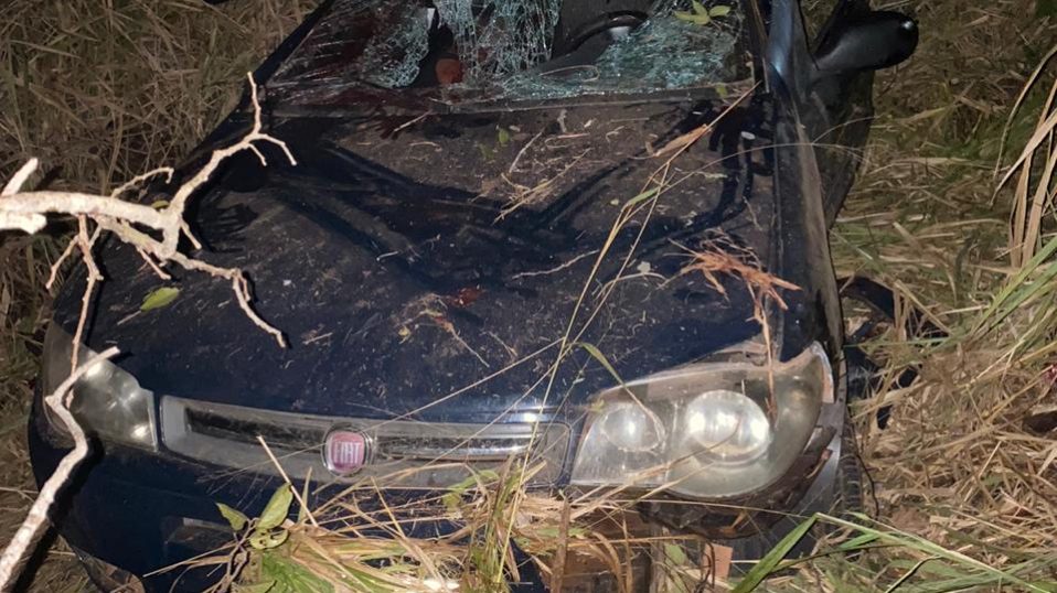 Mulher morre após veículo colidir em árvore na&nbsp;BR-010