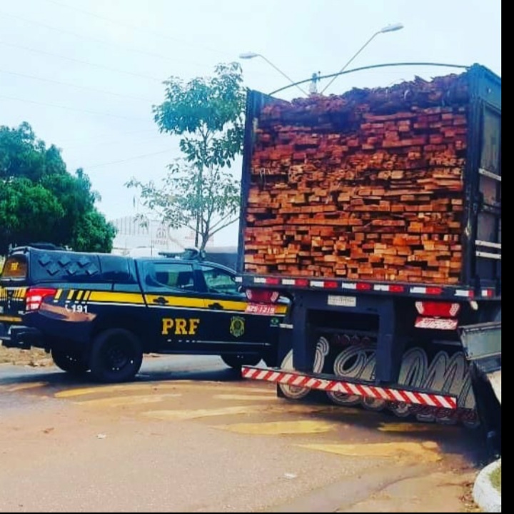 Polícia Rodoviária apreende caminhão com madeira ilegal na&nbsp;BR-010