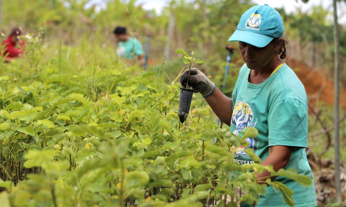 Nordeste teve maior índice de sindicalização em 2019