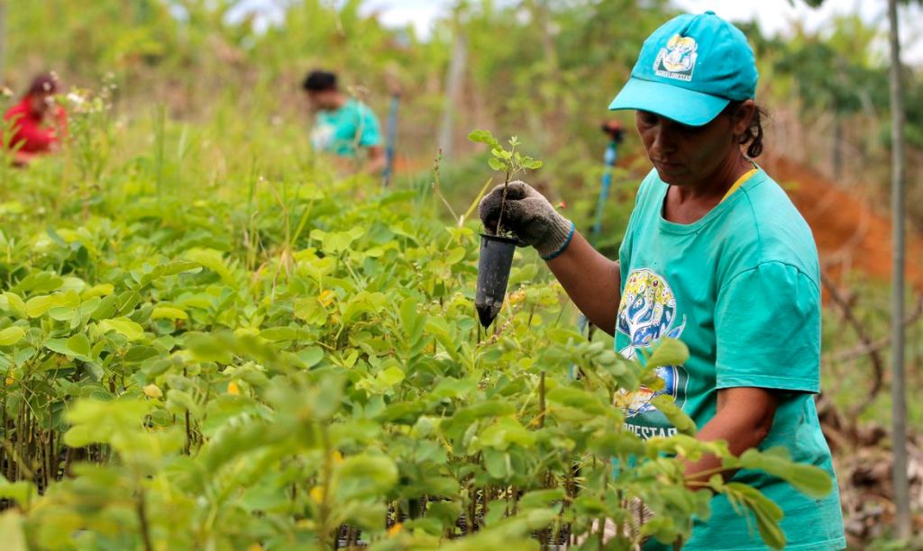 Nordeste teve maior índice de sindicalização em&nbsp;2019