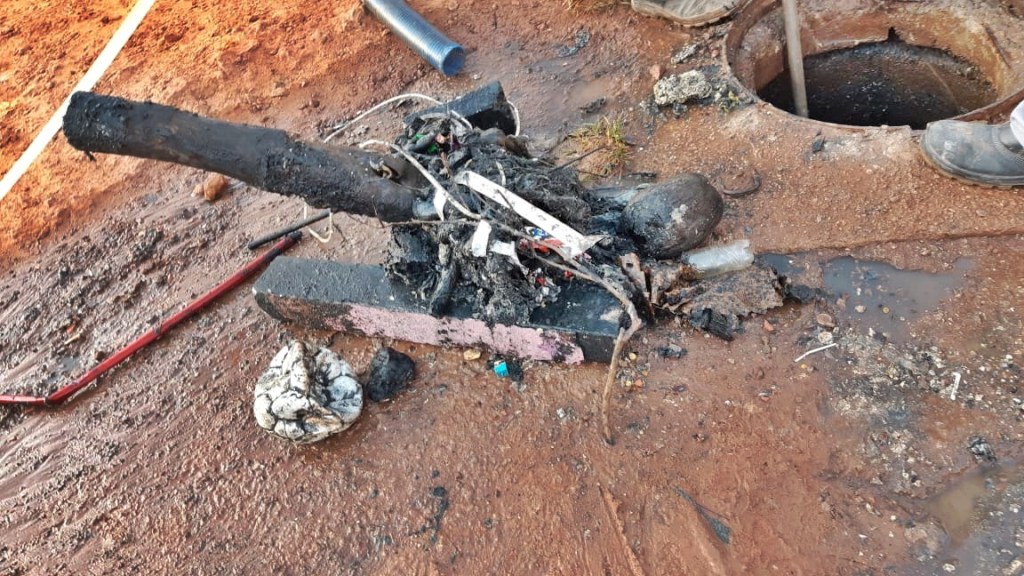 ATITUDES SUSTENTÁVEIS SÃO ESSENCIAIS DURANTE PERÍODO DE&nbsp;PANDEMIA