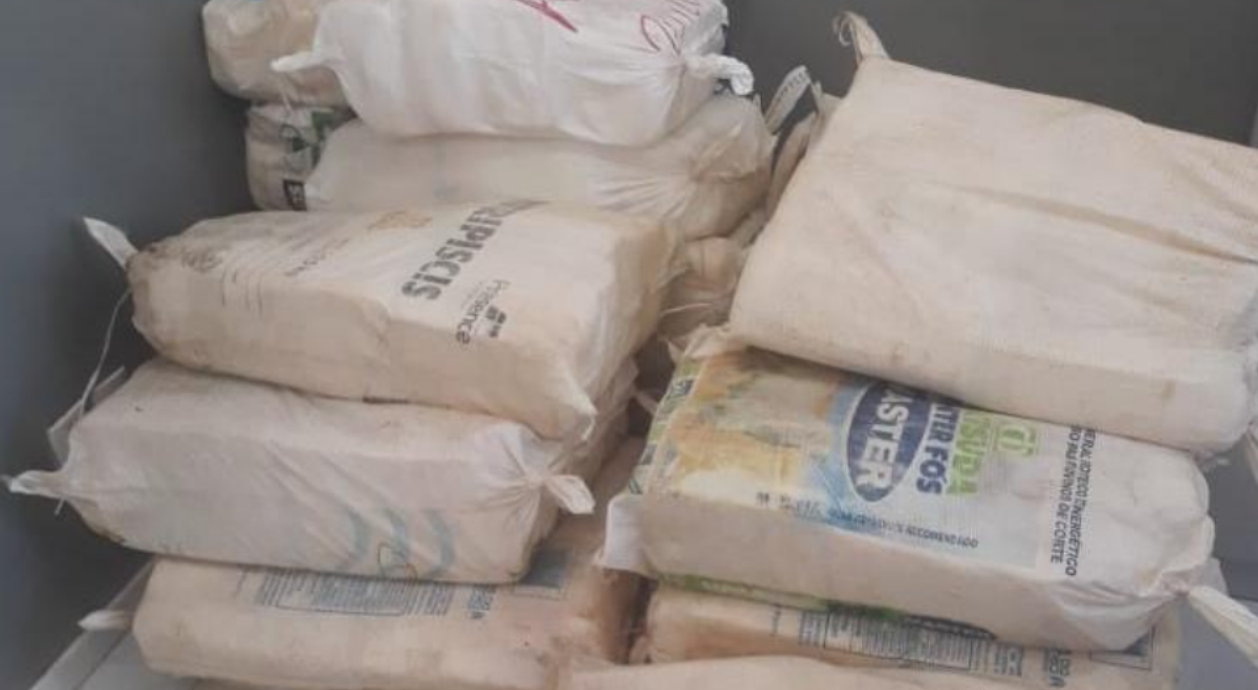 Queijo sem procedência sanitária é inutilizado em Santa Inês